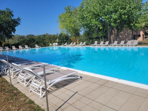une grande piscine avec des chaises longues et des arbres dans l'établissement Villetta Elise, à Padenghe sul Garda