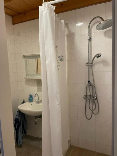 y baño con ducha y lavamanos. en Laguna House Balatonberény, en Balatonberény