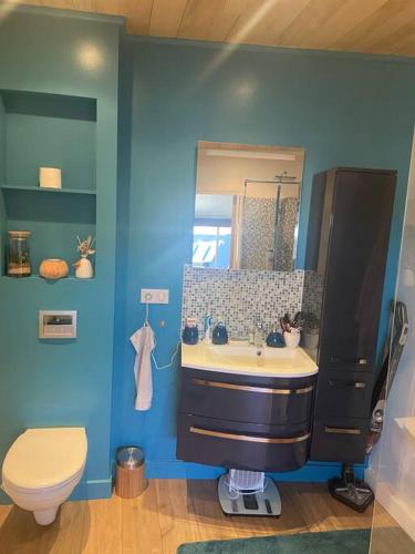 une salle de bain bleue avec un lavabo et des toilettes dans l'établissement Appartement duplex toit terrasse, à Apt