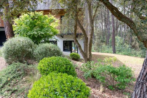 Agen - Location appartement 4 personnes à hossegor