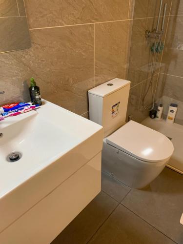 a bathroom with a white toilet and a sink at Fazenda Apartments - Apartment 1 in Lajes das Flores