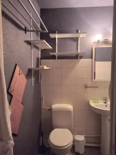 uma pequena casa de banho com WC e lavatório em Appartement calme, hyper centre. em Clermont-Ferrand
