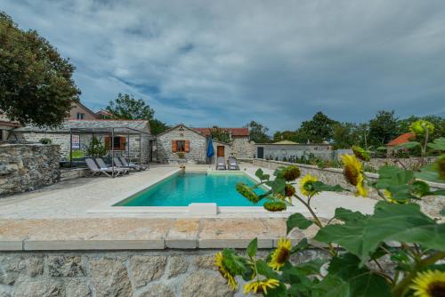 Eco Ranch DreamLand – Photos 5