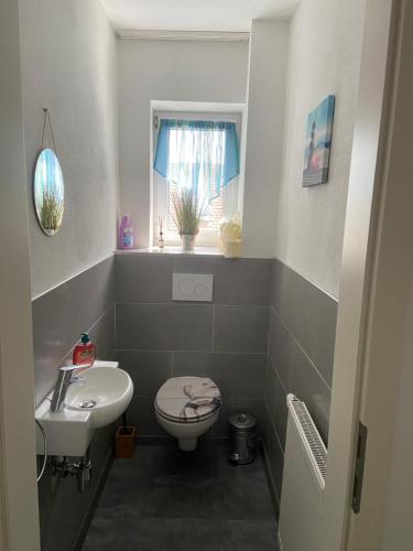 a bathroom with a sink and a toilet and a window at Casa Andrea Apartment mit Balkon in Wallersdorf