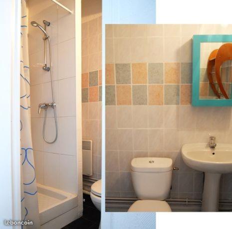 two pictures of a bathroom with a toilet and a sink at Apartement Lille in Lille
