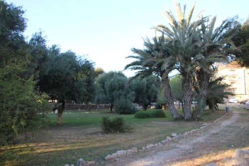 Tesoro del Eden photo 12