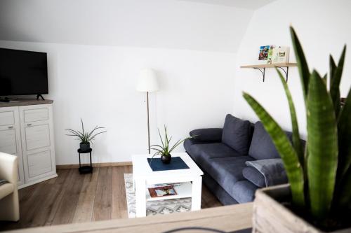 a living room with a blue couch and a tv at Appartements Setzbergblick in Spitz