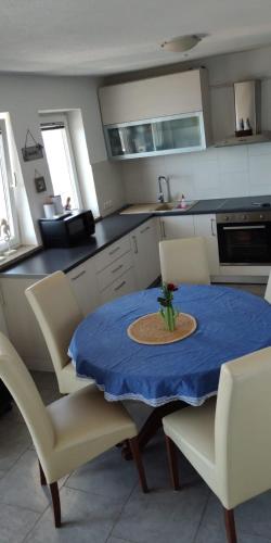 Η κουζίνα ή μικρή κουζίνα στο Apartment Renata