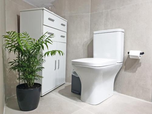 a bathroom with a toilet and a potted plant at Traditional Cretan Stone House in the Center of Crete in Xidhás