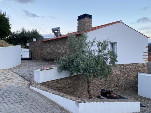 una casa con un albero sul lato di Beautiful House a Miranda do Corvo