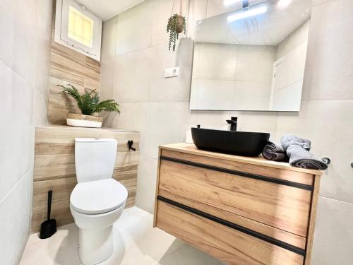 La salle de bains est pourvue de toilettes et d'un lavabo. dans l'établissement Erisa IB Carihuela - Torremolinos, à Torremolinos