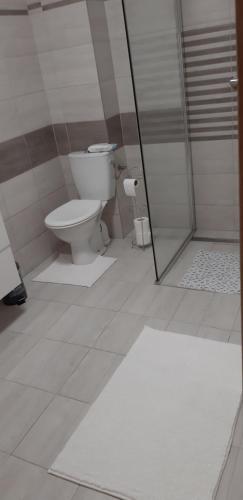 y baño con aseo y ducha. en Apartament u Janiny, en Jeżów Sudecki