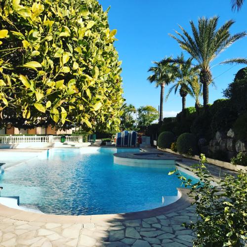 une piscine avec des palmiers en arrière-plan dans l'établissement Palme d'or, à Cannes