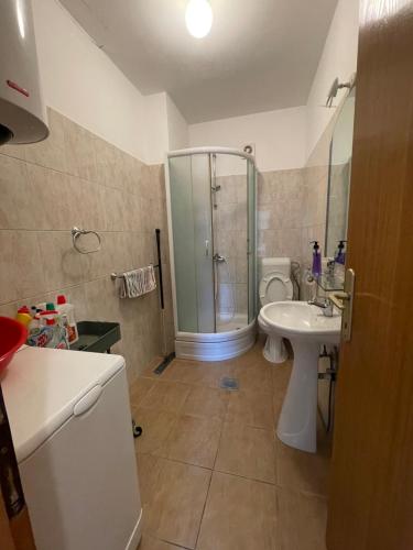 Ванна кімната в Apartman Boka Savina
