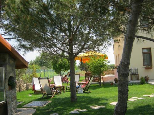 a group of people sitting in lawn chairs under a tree at Nar Bağevi in Bozcaada