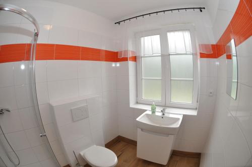a bathroom with a toilet and a sink and a shower at Slavonice - Maříž in Maříž