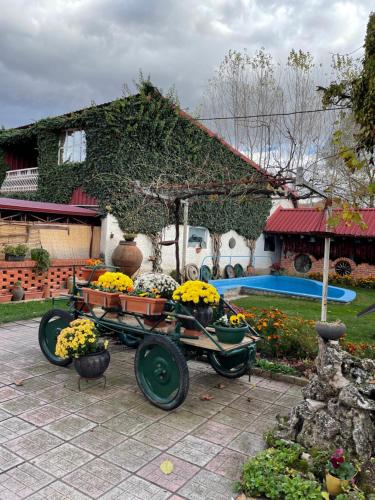 a wheelbarrow filled with flowers in a yard at Apartment in Antique Museum Filip in Bitola