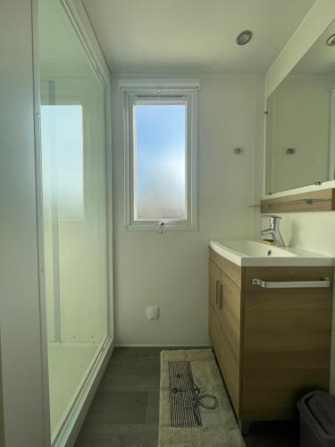 a bathroom with a shower and a sink and a window at Mobil home luxe 8 personnes avec wifi in Onzain