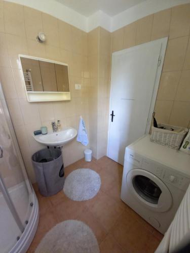 y baño con lavadora y lavamanos. en Rooms Apartma Cerknica, en Cerknica