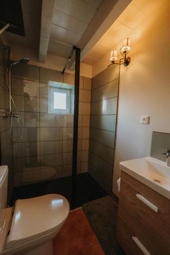une salle de bain avec une douche, des toilettes et un lavabo dans l'établissement La Casita, à Cheilly-lès-Maranges