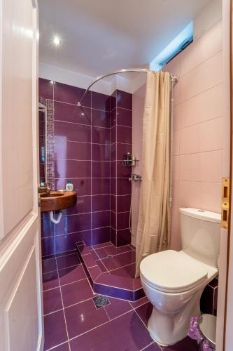 a purple bathroom with a toilet and a shower at Villa Korfes-Κορφές Τριώροφη Βίλα για Οικογένειες και Παρέες in Karpenision