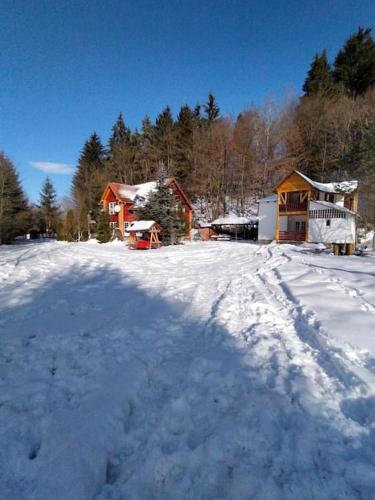 a snow covered yard with a house in the background at Cabanita in Întorsura Buzăului