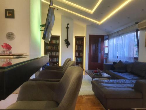 パンチェヴォにあるApartmani Pančevo Roseのソファと椅子とテレビのあるリビングルーム
