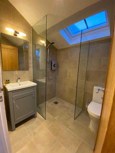 uma casa de banho com um chuveiro, um WC e um lavatório. em Tiny home, the Wye Valley, Clanna Cottage Llandogo em Llandogo