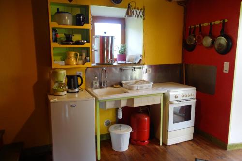 - une cuisine équipée d'un évier et d'une cuisinière dans l'établissement Maison de Félix, à Noirétable