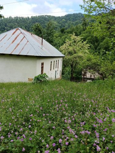 a white building in a field of flowers at Ruzigar Guesthouse in Sım