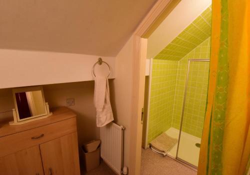 a bathroom with a shower with green tile at Station Cottage in Kirkby Stephen