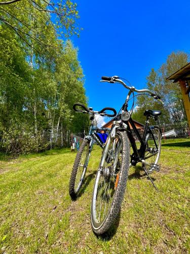 a bike parked on the grass in a field at DOMEK LETNISKOWY POD BRZOZAMI na Roztoczu wśród lasów, Zamość, Krasnobród, Zwierzyniec in AdamÃ³w