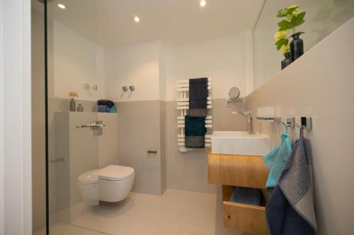 a bathroom with a toilet and a sink at ArtRoom Boarding Apartment in Bissendorf