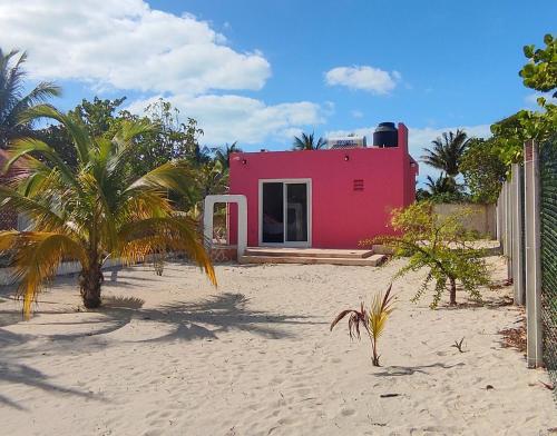 Casa Mahe, Chelem, Yucatán في تشيليم: منزل وردي على الشاطئ مع أشجار النخيل