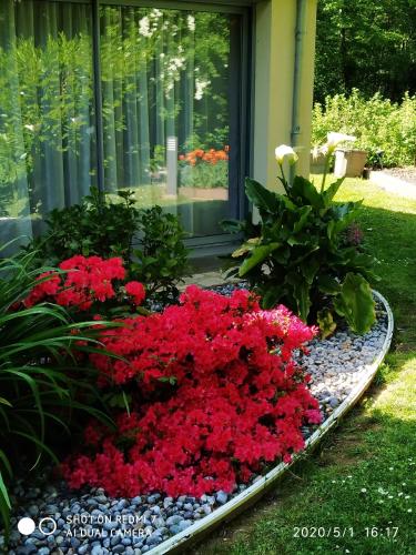 un jardin avec des fleurs rouges en face d'une maison dans l'établissement HOLLY WOOD, à Ault