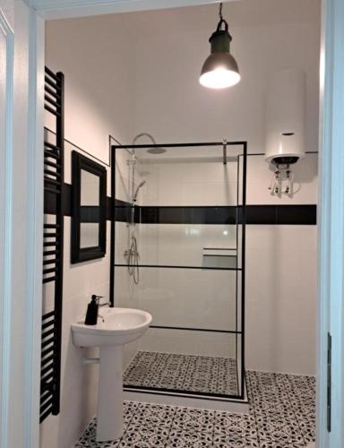 a bathroom with a sink and a glass shower at Weisz Castle style Apartment-City Center- Free Private Parking in Carei