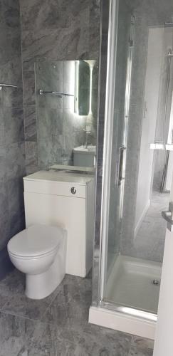a bathroom with a toilet and a shower and a sink at Rose Court Holiday Apartments in Torquay