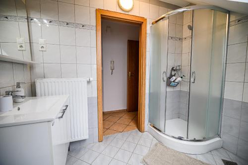 a bathroom with a shower and a sink and a toilet at Apartment Rimljanček in Leskovec pri Krškem