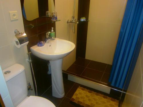 y baño con lavabo, aseo y ducha. en Aygestan Comfort Holiday Home, en Ereván