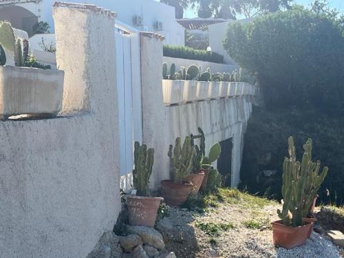 Κήπος έξω από το Villa sul Mare