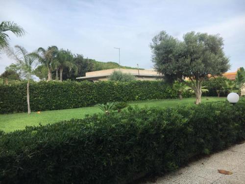 a green yard with trees and a building at Villa sul Mare in Siracusa