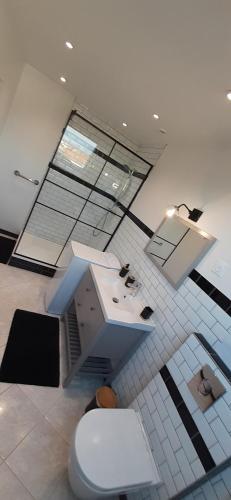 a bathroom with a toilet and a sink in a room at Le grenier de Véro in Houssen