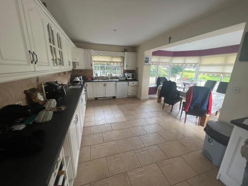 Kuchyň nebo kuchyňský kout v ubytování graiguenamanagh Homestay