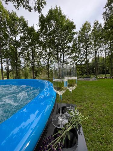 two glasses of wine sitting next to a swimming pool at Sniegi Apartments with sauna in Madona