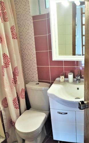 a bathroom with a toilet and a sink at Garden House No 2 in Plomari