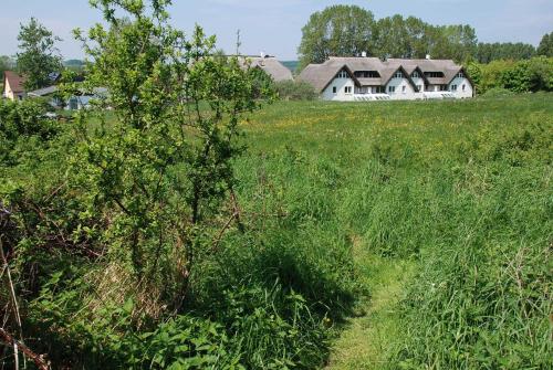 a house in the middle of a field of grass at Strandhaus Lobbe - Fewo 45499 in Lobbe