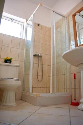 a bathroom with a shower and a toilet and a sink at Apartamento T3 encantador com piscina wifi e perto de praia in Santa Maria