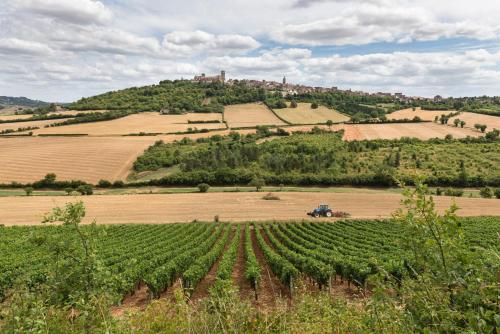 Un paisaje natural cerca de la casa vacacional