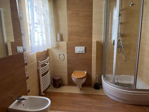 La salle de bains est pourvue d'une douche, de toilettes et d'un lavabo. dans l'établissement Bungalow am Meer, à Grzybowo