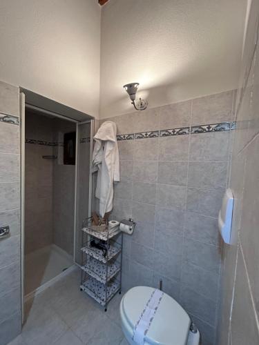 y baño con aseo y ducha. en Valdorcia Belvedere b&b, en Pienza